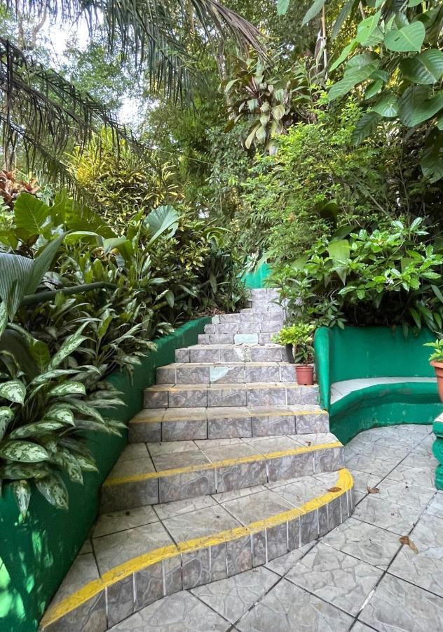 Manuel Antonio Park House - Adults Only Exterior foto